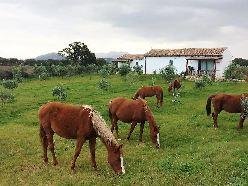Agriturismo Mieleamaro Villa Olbia