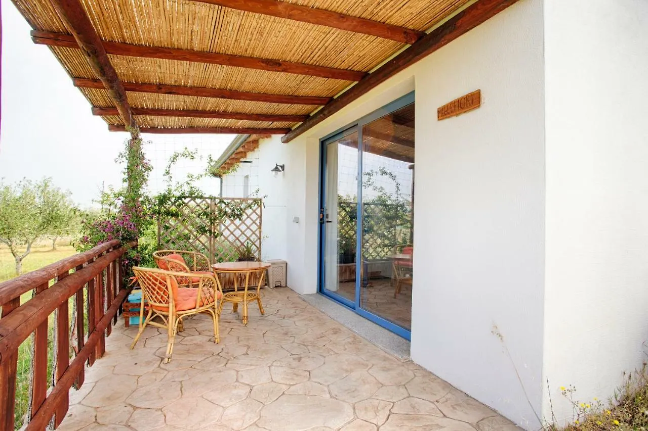 Vakantieboerderij Agriturismo Mieleamaro Villa Olbia Italië